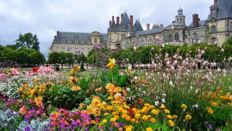 Vibrant Floral Beauty at Château de Fontainebleau wallpaper