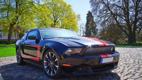 Sleek Ford Mustang GT in Vibrant Nature Scene wallpaper