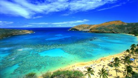Tropical Bliss at Sandy Beach Honolulu wallpaper