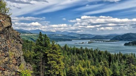 Emerald Canopy and Serene Lake View wallpaper