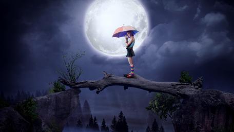 Moonlit Dreams of Whimsy wallpaper