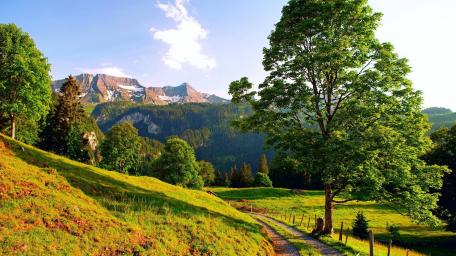 Tranquil Countryside Oasis wallpaper
