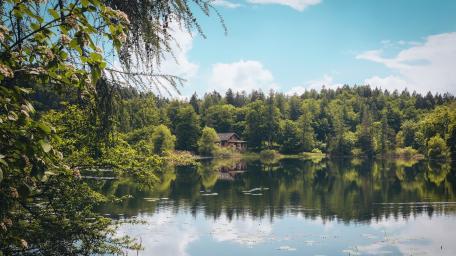 Serene Lakeside Cottage Retreat wallpaper