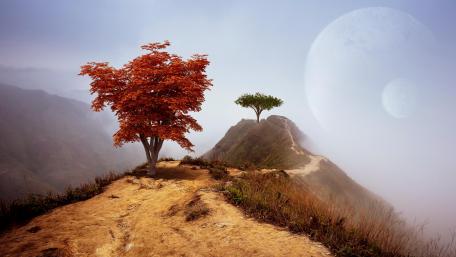The Mystery Tree wallpaper