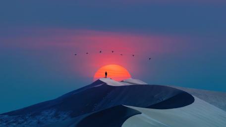 Birds flying in the distance wallpaper