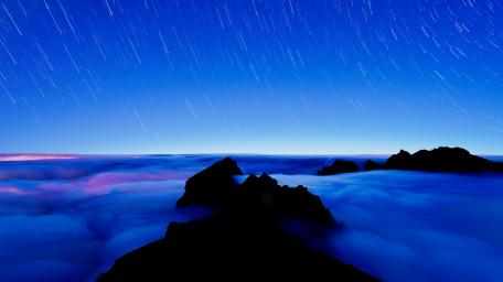 Starry Dusk Silhouettes Against Blue Twilight wallpaper