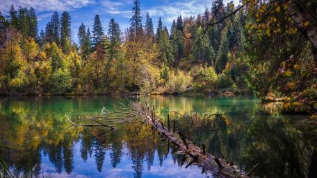 Autumn Serenity by the Lake wallpaper