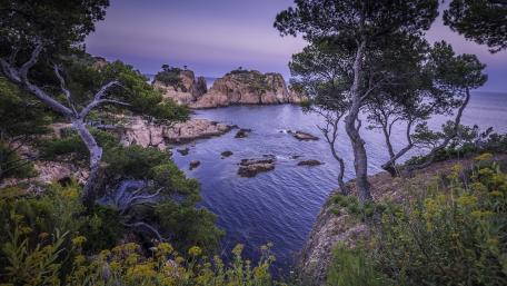 Serene Coastal Twilight wallpaper