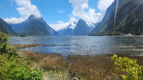 Majestic Milford Sound New Zealand Serenity wallpaper