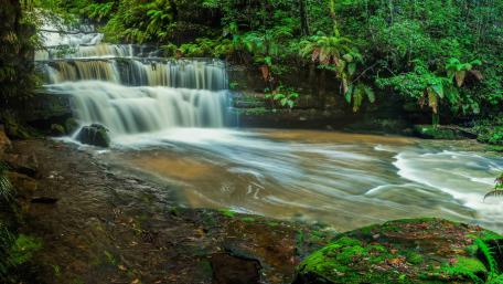 Verdant Cascade Retreat wallpaper