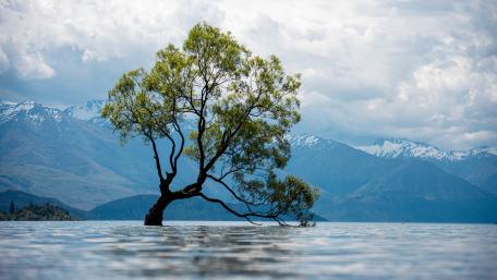 Serenity at Lake Wanaka wallpaper
