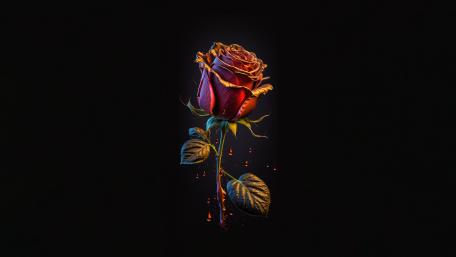 Elegance of a Dark Rose wallpaper