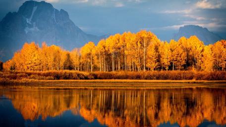 Autumn Reflections at Grand Teton wallpaper