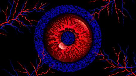 3D Optical illusion red and blue wallpaper