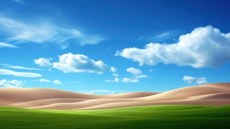 Verdant Oasis Amidst Arid Dunes wallpaper
