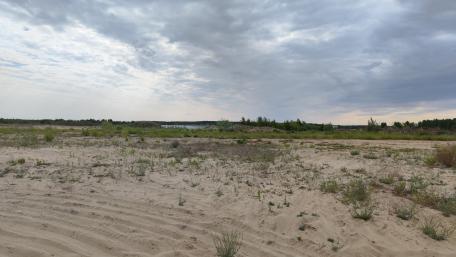 Serene Sandy Landscape Under Cloudy Sky wallpaper