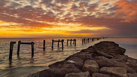 Golden Sunset at the Old Pier wallpaper