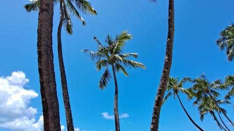 Maceió Brazil wallpaper