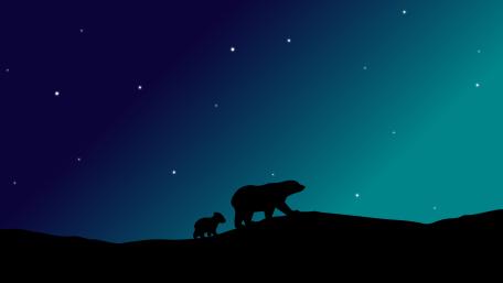 Stellar Polar Journey wallpaper