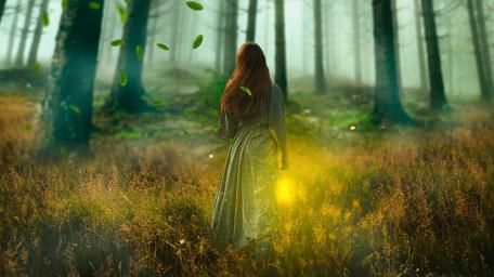 Enchanted Dawn Stroll wallpaper