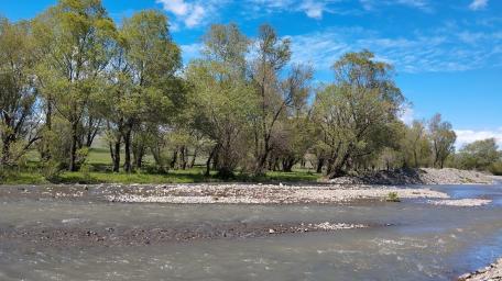 Tranquil River Landscape in Springtime Sunlight wallpaper