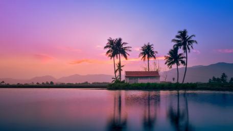 Tropical Sunset by the Lake wallpaper