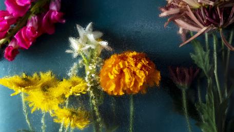 Colorful Floral Still Life Artistry wallpaper