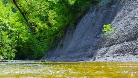 In the creek wallpaper