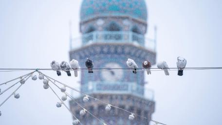 Pigeons on the cable wallpaper