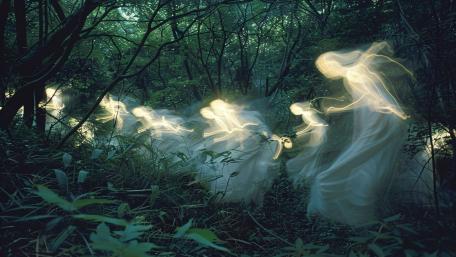 Enchanted Luminescent Spirits in Mystical Forest wallpaper