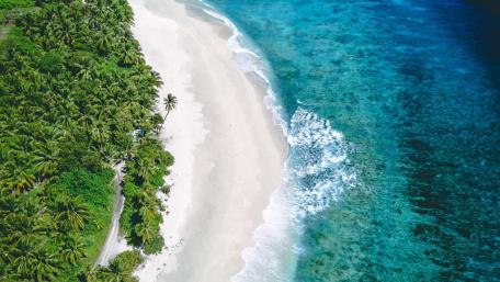 Tropical Paradise wallpaper
