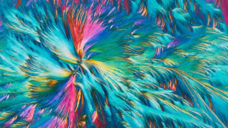 Colorful Explosion of Abstract Feathers wallpaper