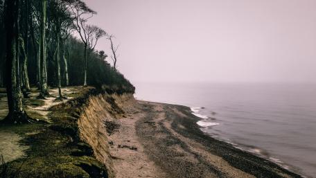 Misty Morning Cliffs by the Sea wallpaper