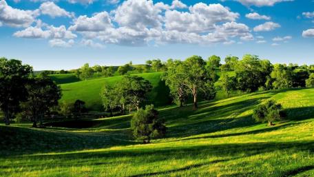 Serene Rolling Hills with Fluffy Clouds wallpaper