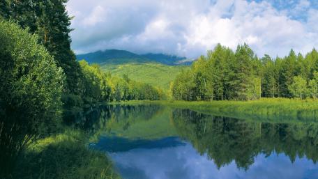 Serene Reflection in Nature’s Embrace wallpaper