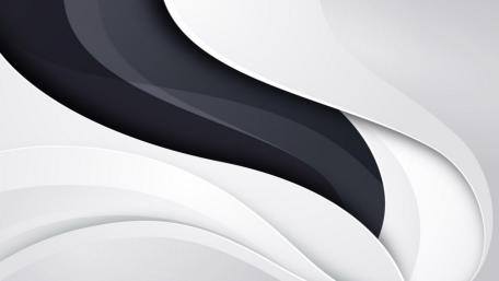 Elegant Monochrome Waves wallpaper