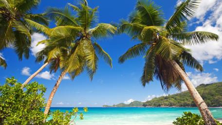 Tropical Paradise in Seychelles Beach wallpaper
