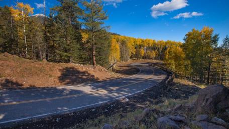 Autumn Road Winding Through Forest wallpaper