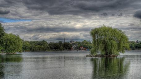Gloomy Serenity of a Willow Islet wallpaper