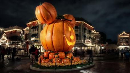 Halloween Magic in Disneyland wallpaper
