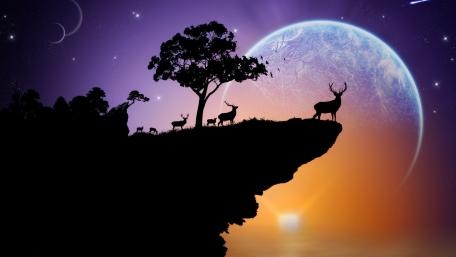 Stargazing Deer on the Edge wallpaper