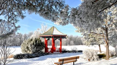Winter Serenity in a Snowy Garden wallpaper