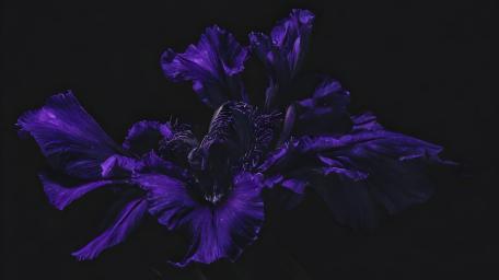 Flowers wallpaper wallpaper