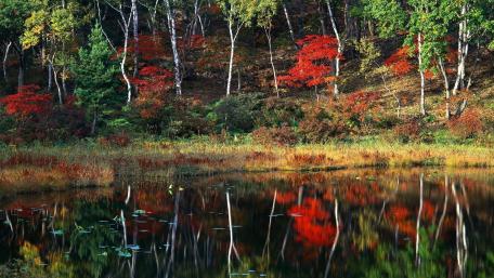 Autumn Lake Reflection Beauty wallpaper