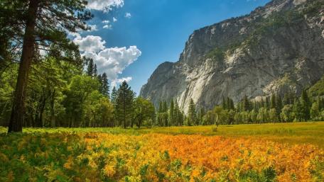 Stunning Autumn in Yosemite Valley wallpaper