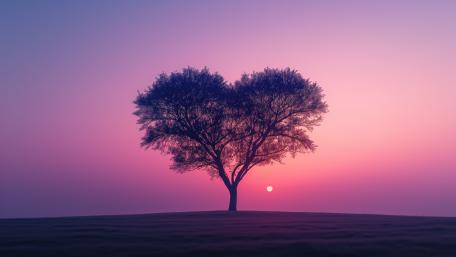 Heart-Shaped Tree at Dusk wallpaper