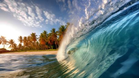 Tropical Wave Paradise wallpaper