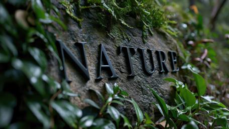 Rustic Greenery "Nature" Stone Sign wallpaper