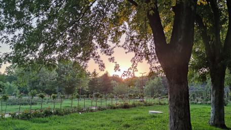 Serene Sunset in a Tranquil Garden Scene wallpaper