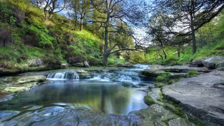Serene Stream in Peak District National Park wallpaper